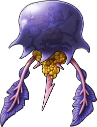 jellyfish_07a.png