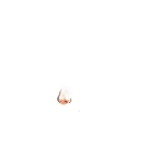 FG_Nose_p24_c1_m001.png