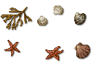 beachstuff_Avery_MZ.png
