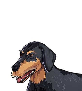 Dachshound_AveryMZ.png