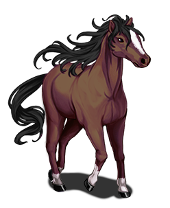 Horse_Avery;Z.png
