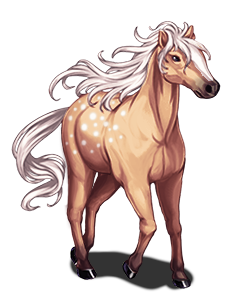 Palomino_Avery_MZ.png