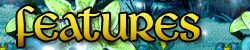 features banner.png