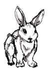 LoS-MV-Rabbit.png