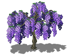 mv wisteria tree.png