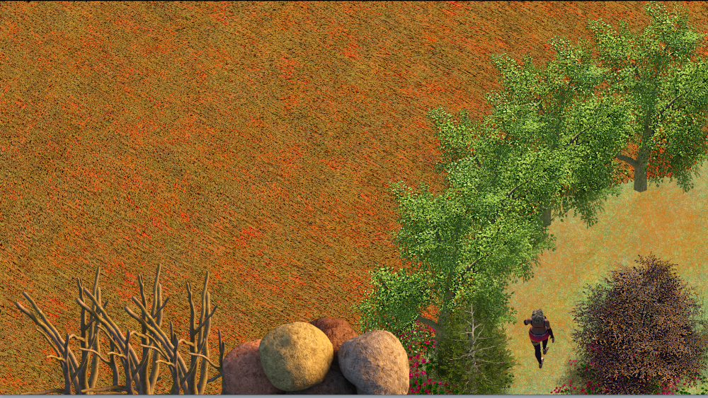 forest map2.png