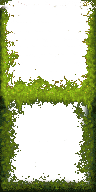 JustLeaves_Avery.png