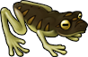 frog_06c.png