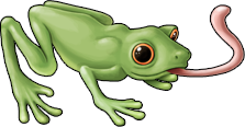 frog_07.png