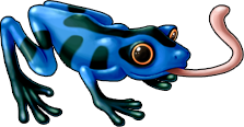 frog_07a.png