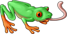 frog_07b.png
