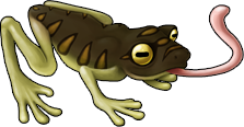 frog_07c.png