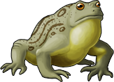 frog_08.png