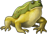 frog_08a.png