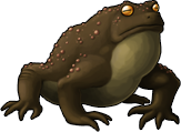 frog_09.png