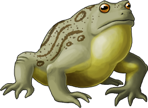 frog_12.png