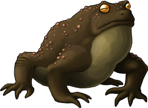frog_13.png