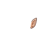 FG_Ears_p03_c1_m001.png