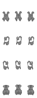 MrKEK-hirte-2h-oberrock2-48x96Sprite.png