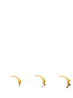 TV_FrontHair2_p22.png
