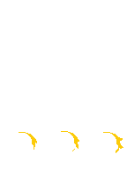 TV_FrontHair2_p22_c.png