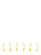 TV_FrontHair2_p66_c.png