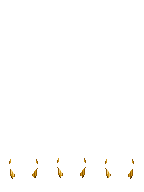 TV_FrontHair2_p67.png