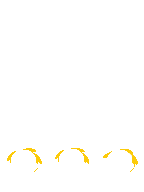 TV_FrontHair2_p104_c.png