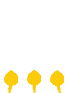 TV_RearHair1_p249_c.png