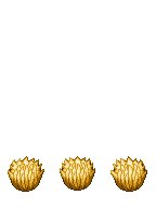 TV_RearHair1_p280X.png