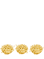 TV_RearHair1_p299.png