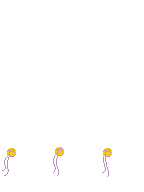TV_RearHair1_p415D_c.png