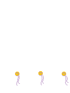 TV_RearHair1_p415E_c.png