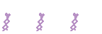 TVD_RearHair_p416E_c.png