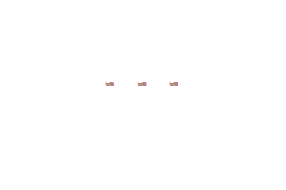 SV_Clothing1_pv02111_c.png