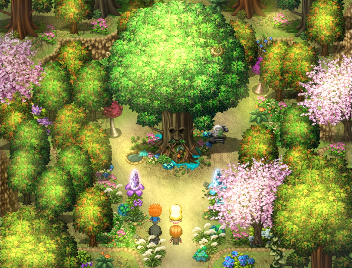 Treejpeg.jpg
