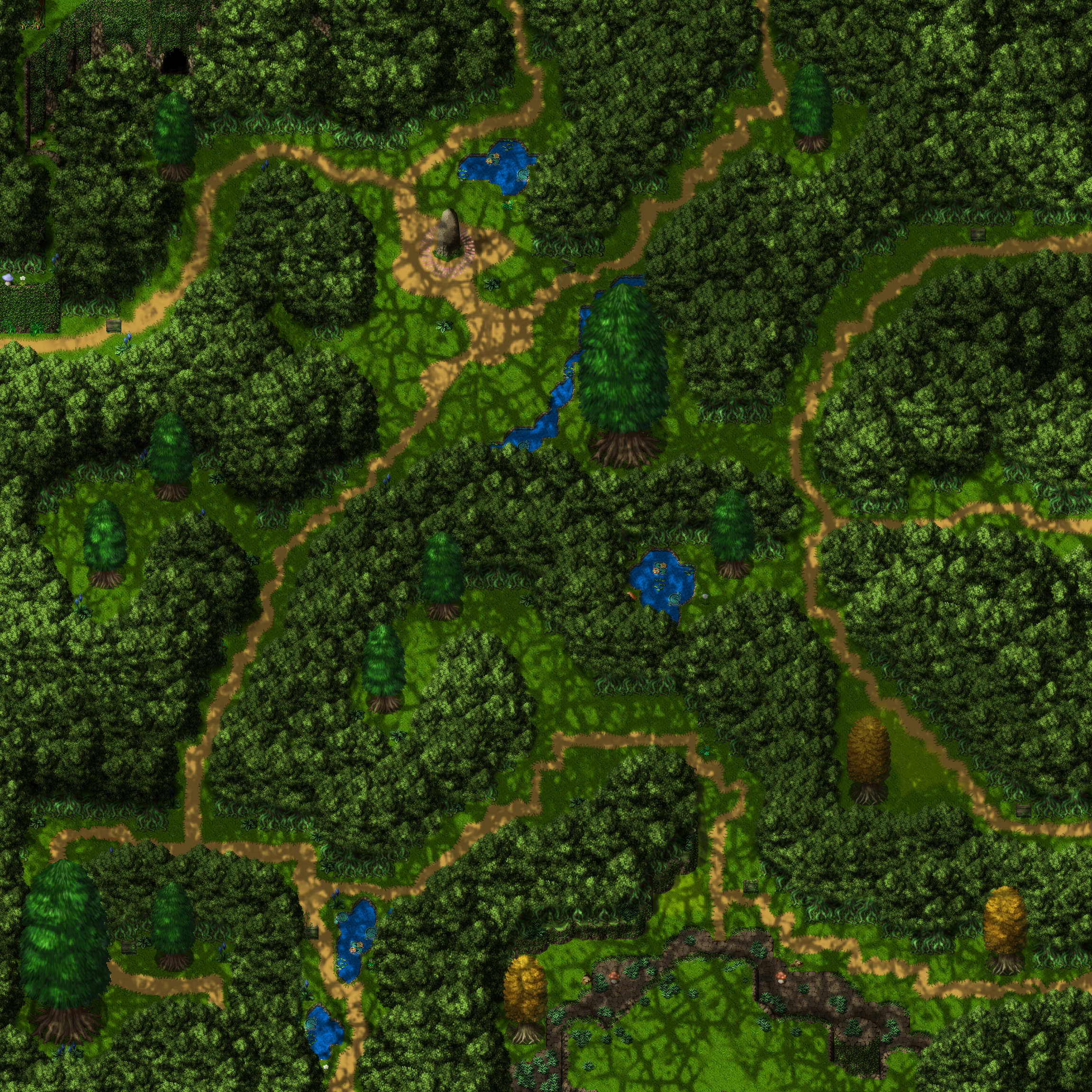 grande florest2.jpg
