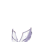 FG_Clothing2_pv01460_c2_m007.png