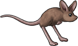 rat_09.png