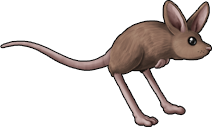 rat_10.png