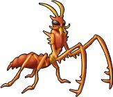 insect_23.png