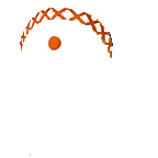 FG_AccB_pv01560_c2_m019.png
