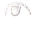 FG_AccB_pv01560_c3_m017.png