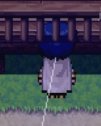 bug.jpg