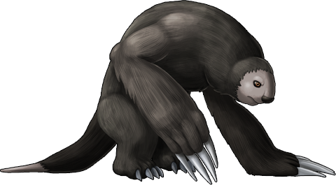 sloth_02.png