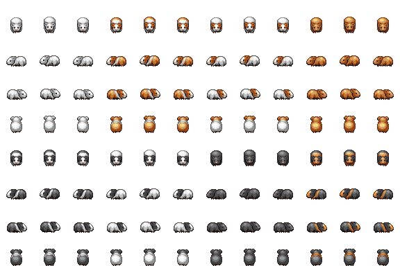 guineapig.png