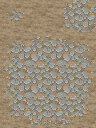 XPBasciccave_Avery (3).png