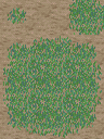 XPBasciccave_Avery (1).png