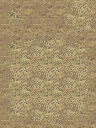 XPBasciccave_Avery (4).png