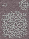 XPTreeCaveAvery (6).png